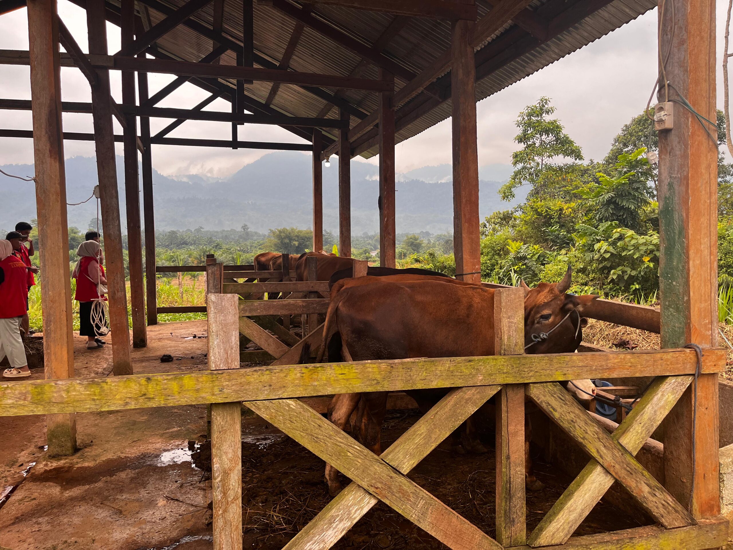 whatsapp image 2025 07 23 at 10.36.53 (4)