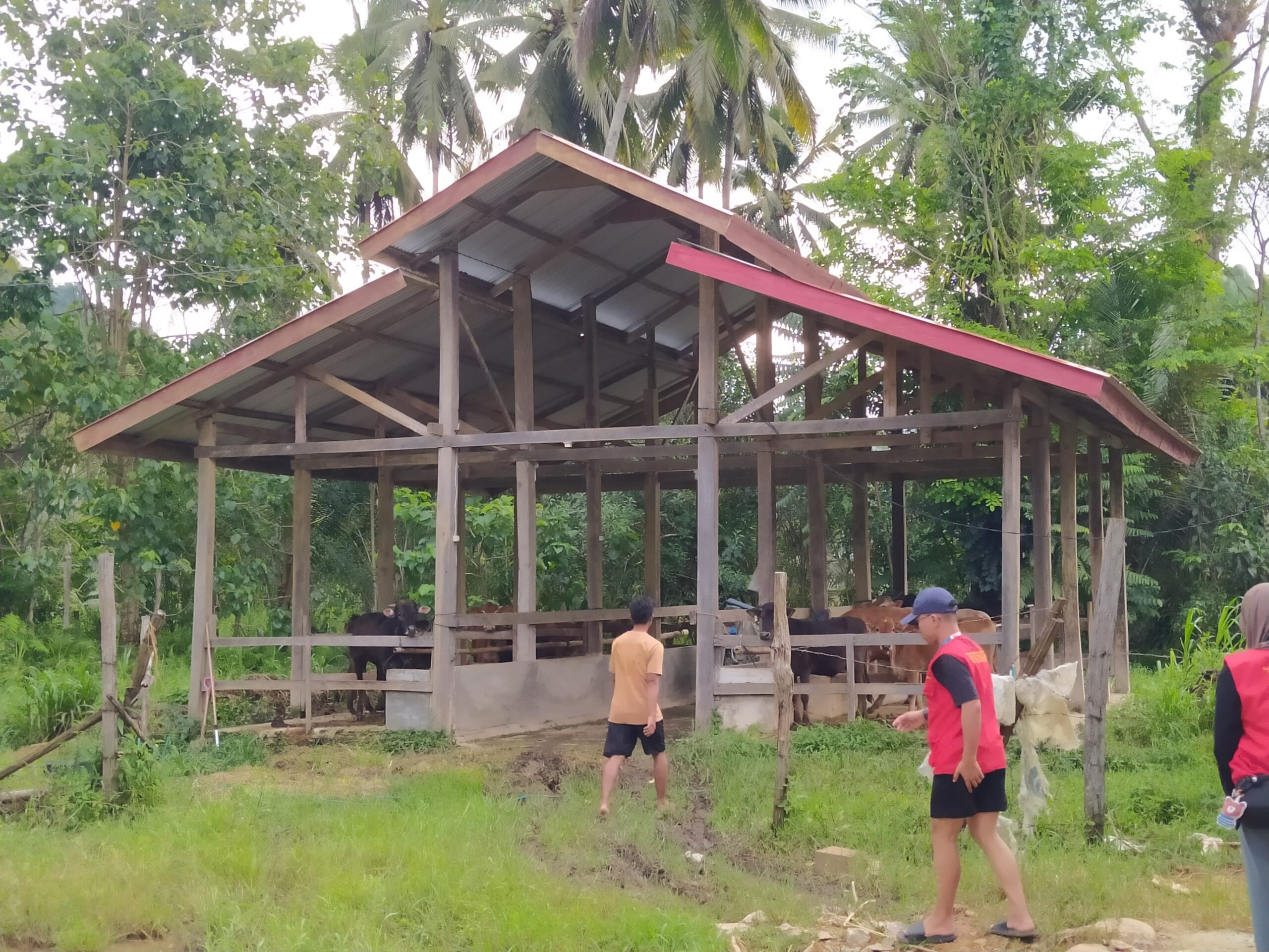 whatsapp image 2025 08 04 at 18.23.02 (1)