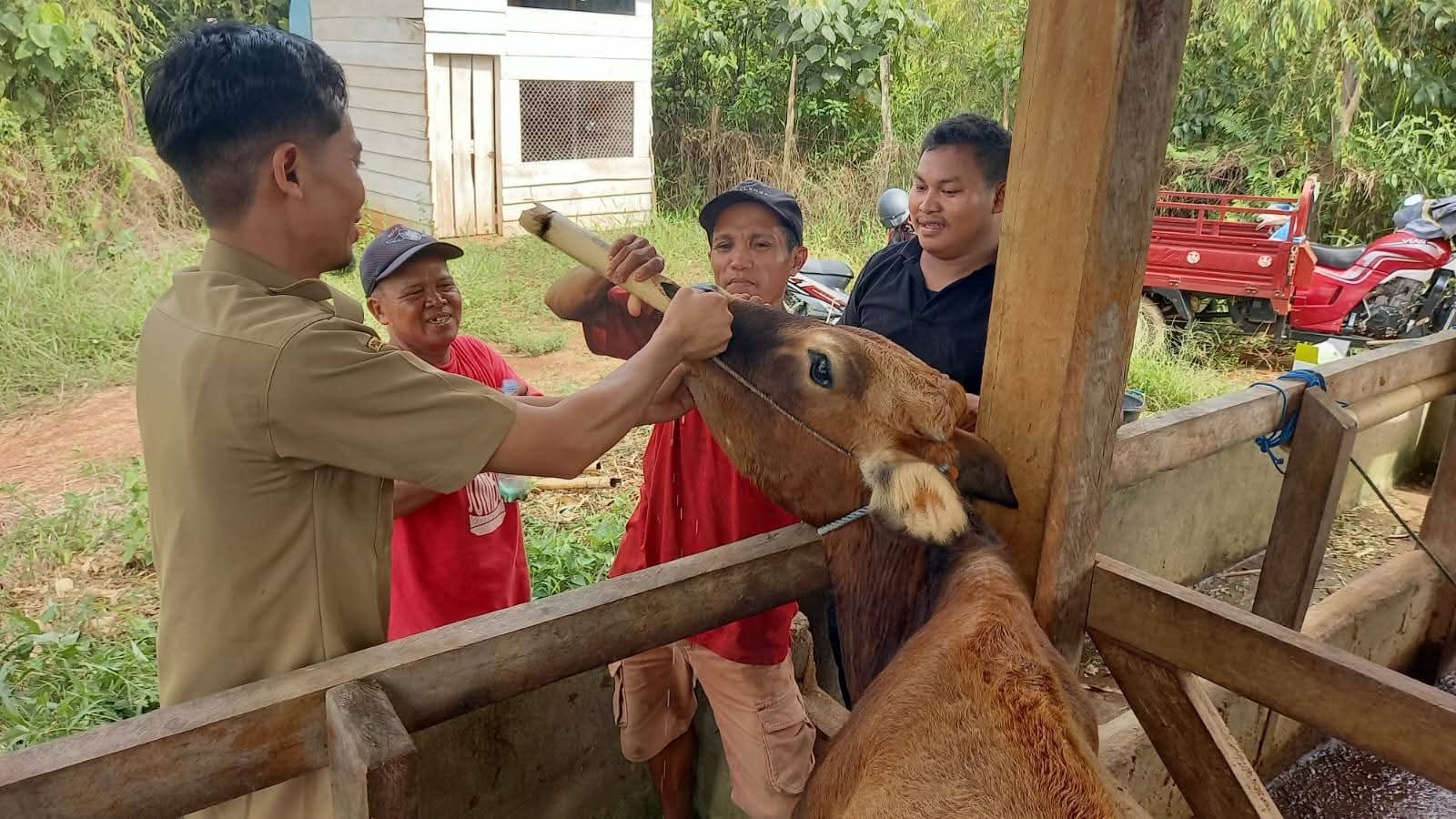 whatsapp image 2025 08 04 at 20.34.11 (1)