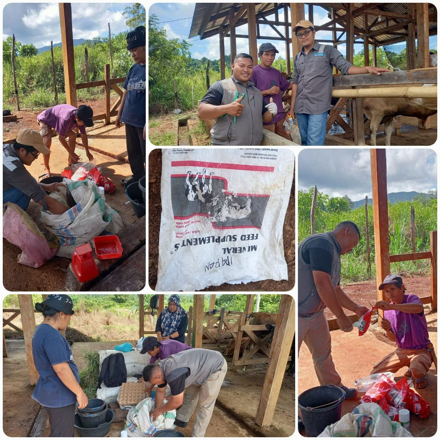 whatsapp image 2025 08 04 at 20.34.11