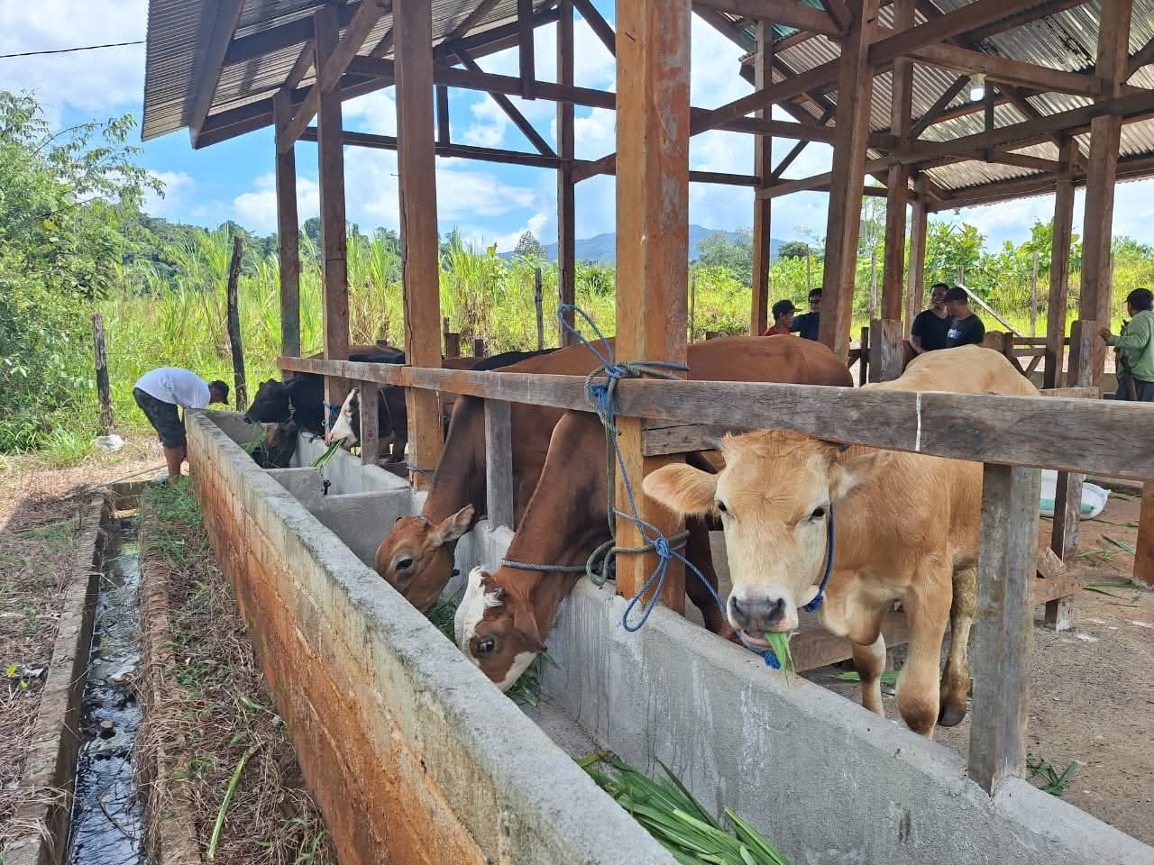 whatsapp image 2025 08 04 at 20.34.14