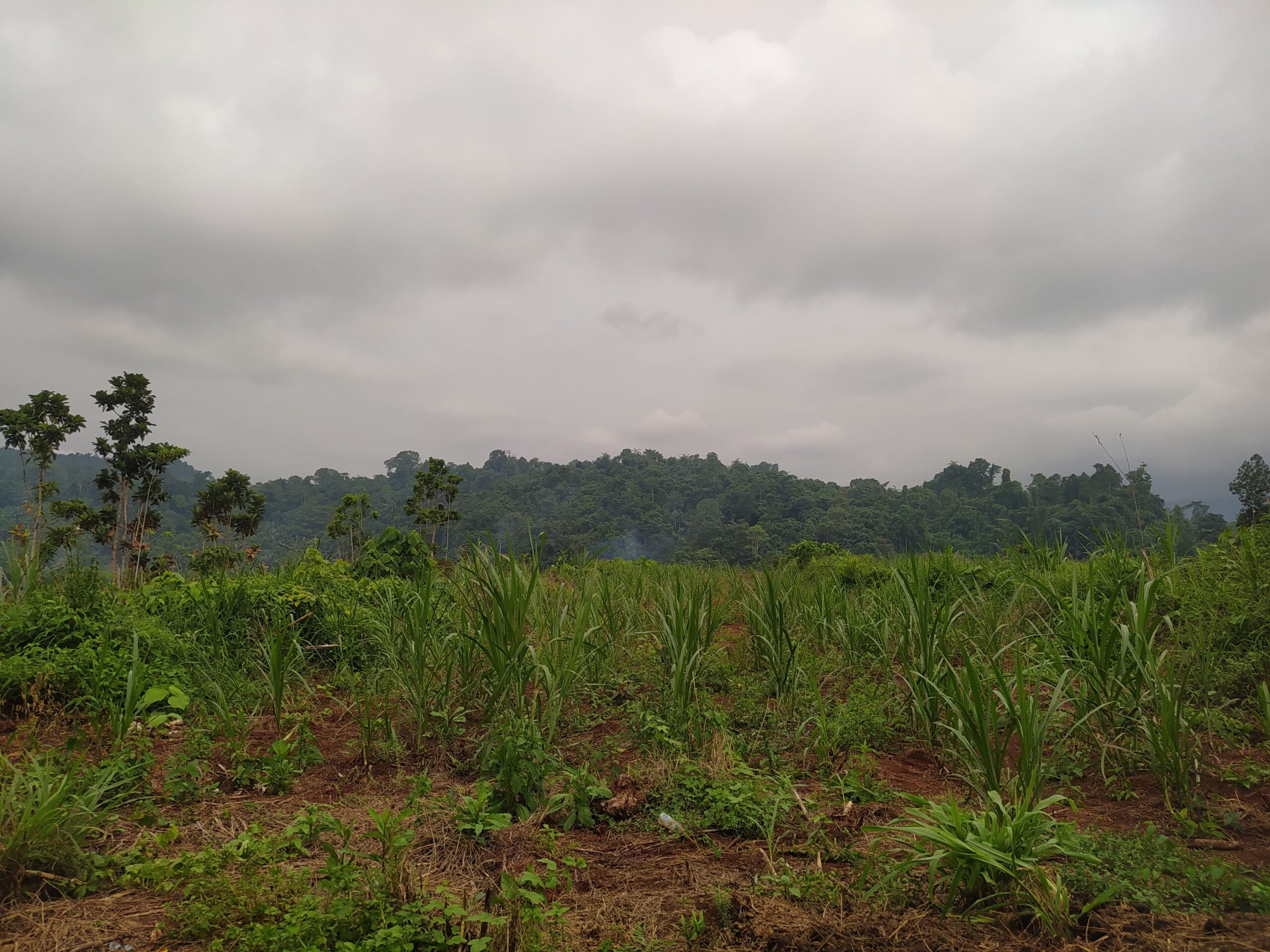 whatsapp image 2025 08 04 at 21.57.42 (1)