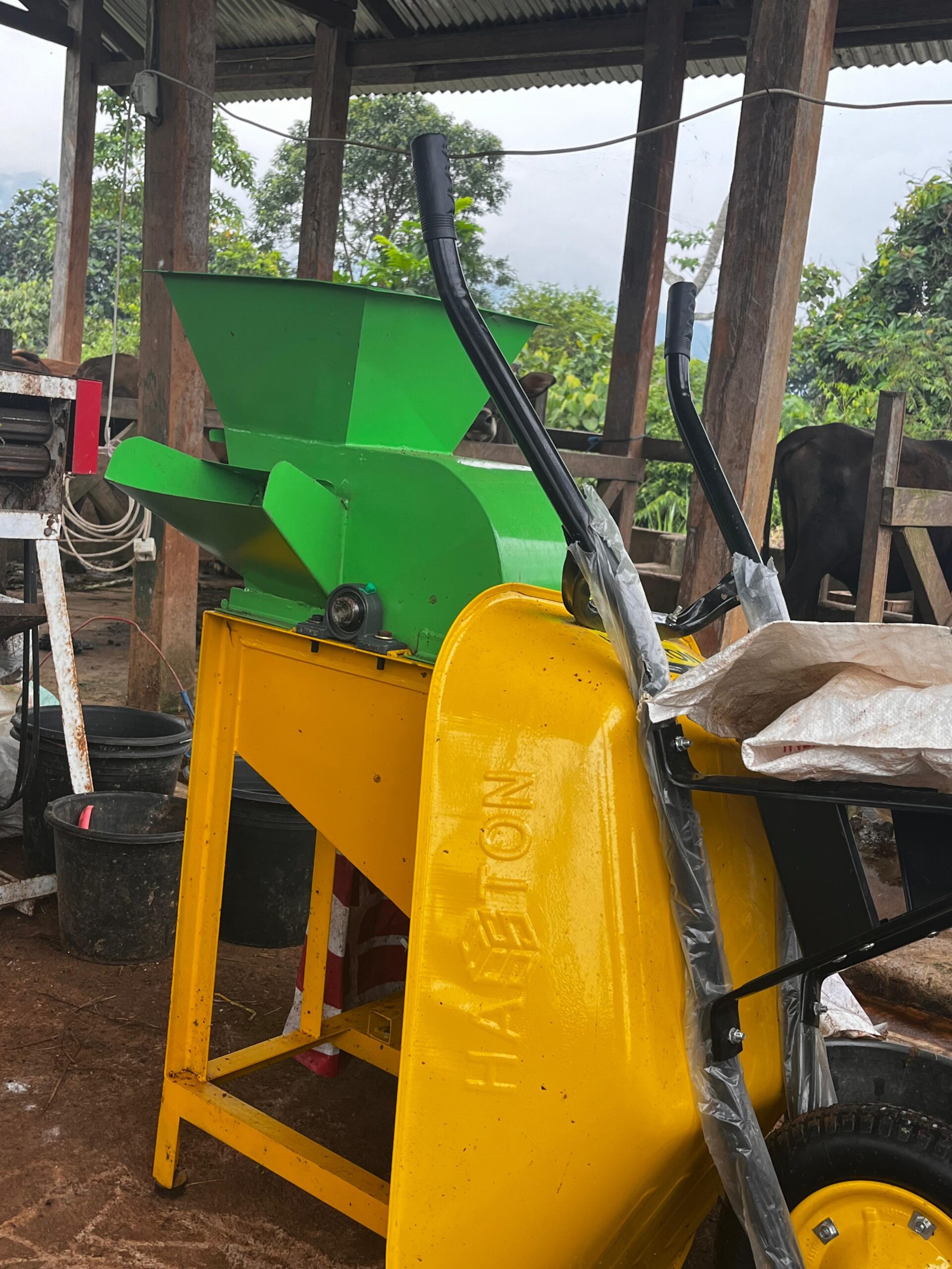 whatsapp image 2025 08 05 at 06.41.10 (1)