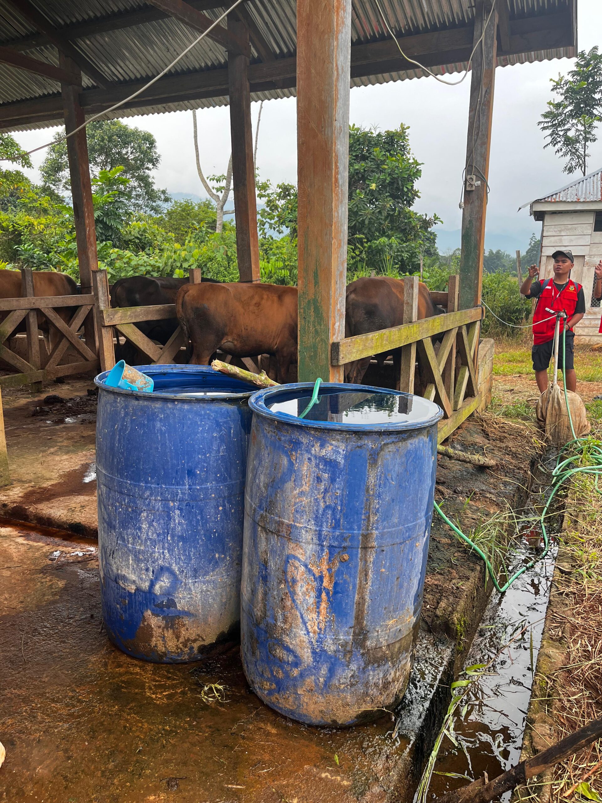 whatsapp image 2025 08 05 at 06.41.10 (3)