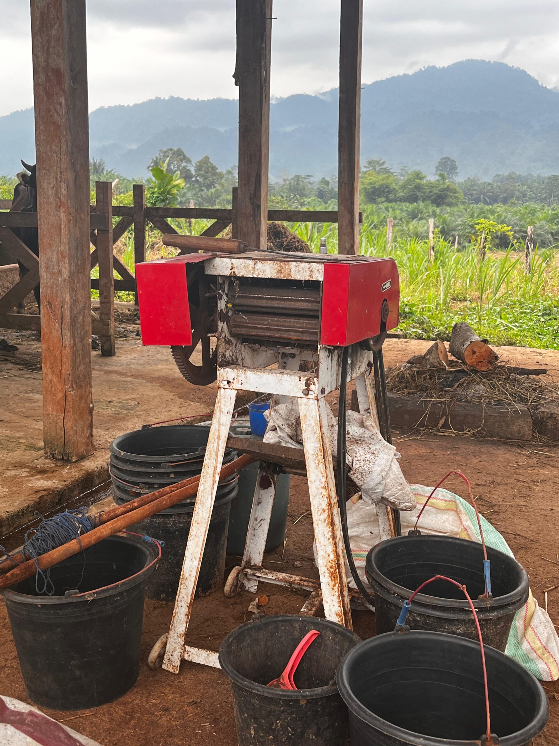 whatsapp image 2025 08 05 at 06.41.11