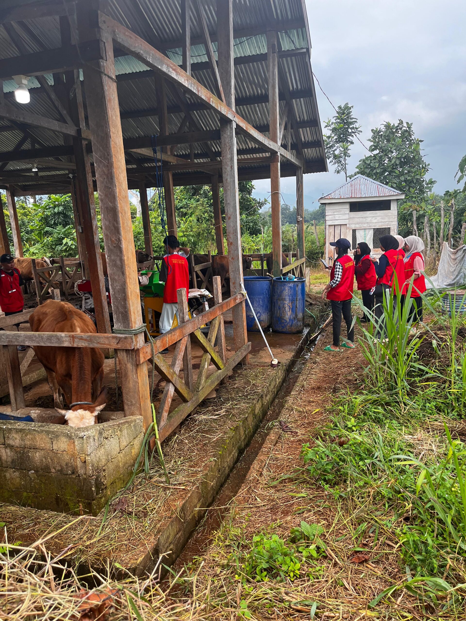 whatsapp image 2025 08 05 at 08.17.39