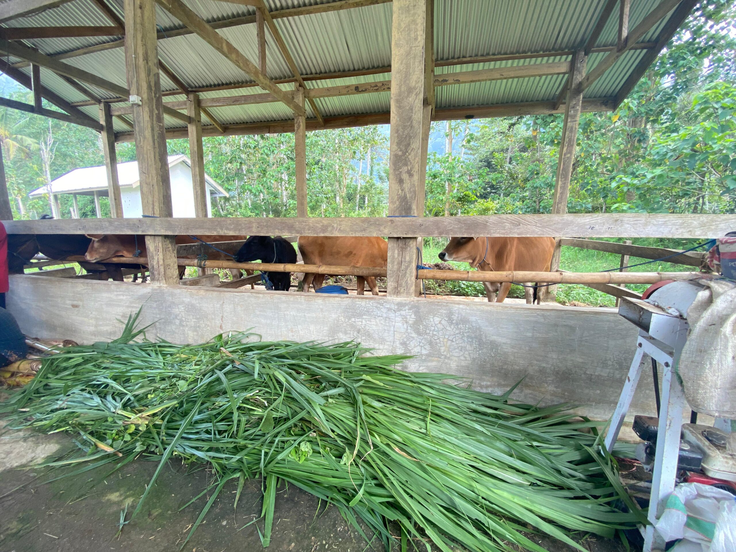 whatsapp image 2025 08 05 at 08.34.07