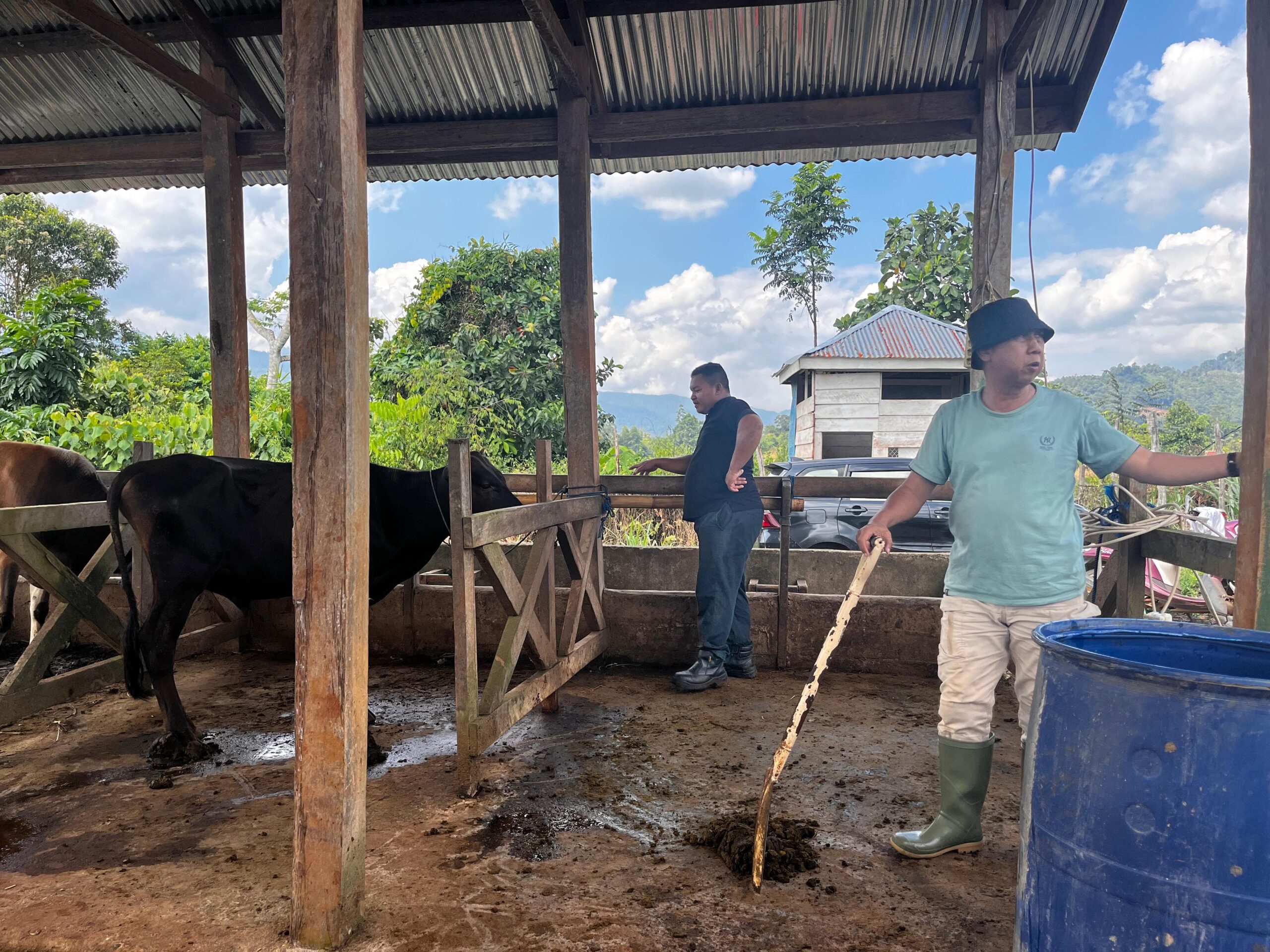 whatsapp image 2025 08 05 at 09.11.06