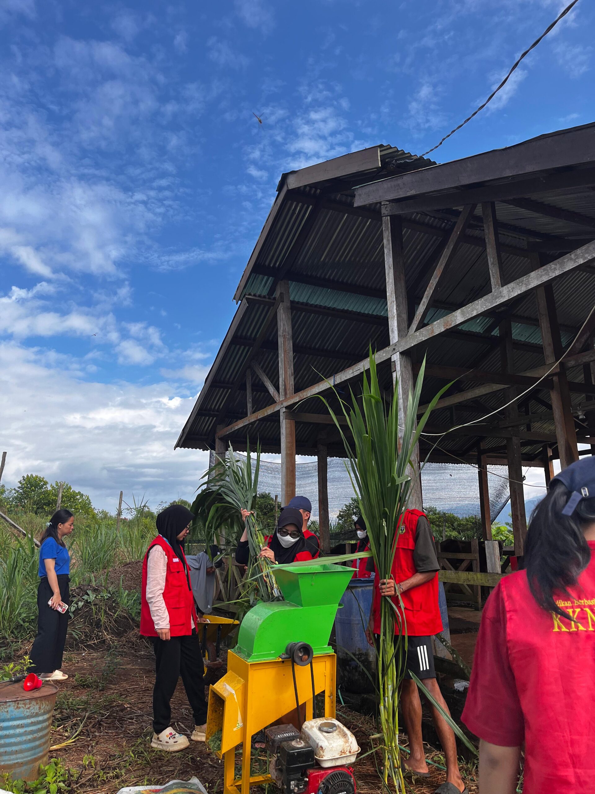 whatsapp image 2025 08 04 at 15.59.09